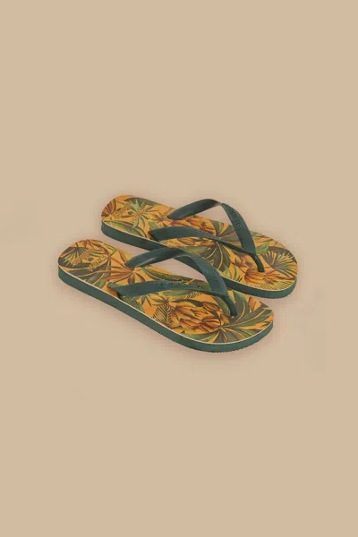 Farm Rio Bananart Havaianas