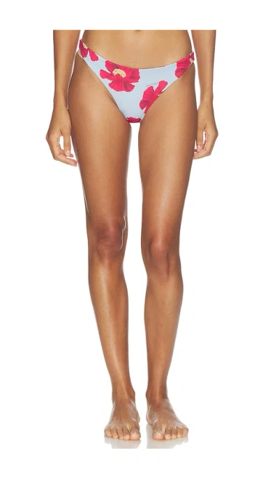 Farm Rio Basic Bikini Bottom In Multi