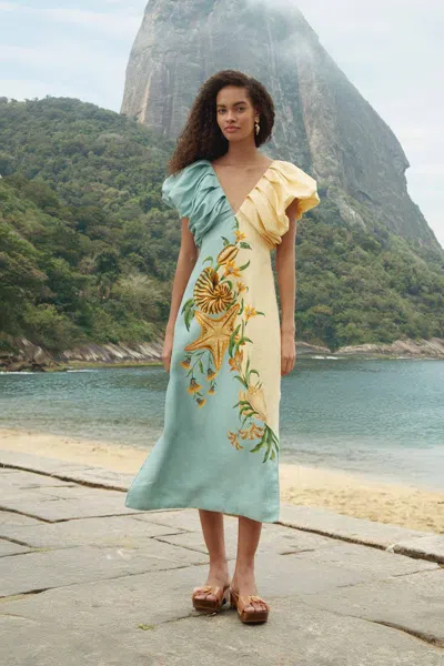 Farm Rio Bicolor Marine Garden Puff Sleeve Midi Dress In Multi