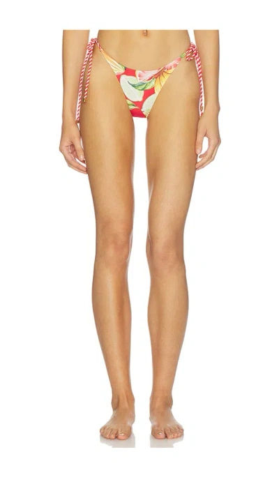 Farm Rio Bikini Bottom With Rope In Multi