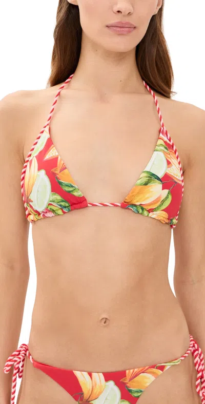 Farm Rio Bikini Top With Rope Fruit Garden In Red
