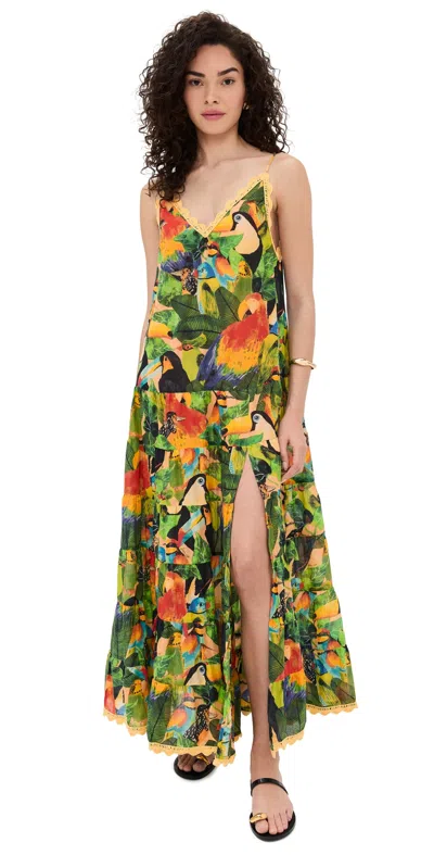 Farm Rio Bird Leaves Crochet-trimmed Tiered Printed Cotton Maxi Dress In Green