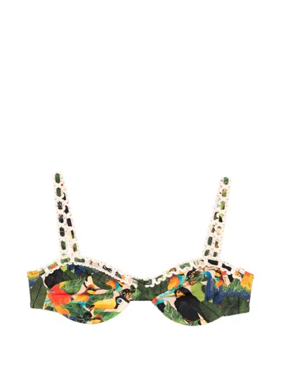 Farm Rio Bird-print Bikini Top In Green