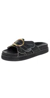 Farm Rio Daisy Slide Sandals In Black