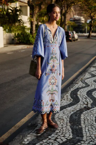 Farm Rio Blue Garden Tapestry Embroidered Long Sleeve Midi Dress