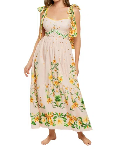 Farm Rio Botanical Beauty Dress In Pink