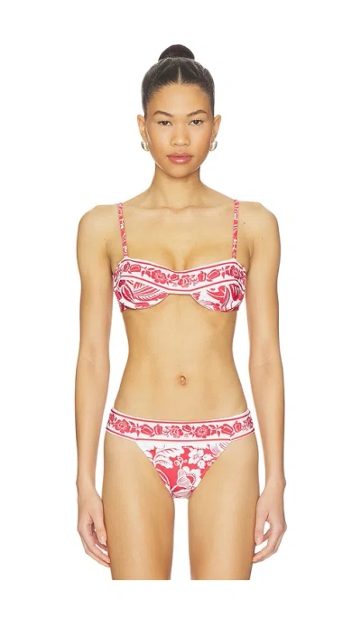 Farm Rio Cashew And Birds Underwire Bikini Top In Pink