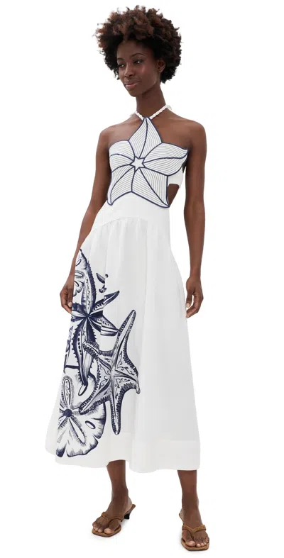 Farm Rio Coast Stars Maxi Dress Coast Stars Off-white In Multi