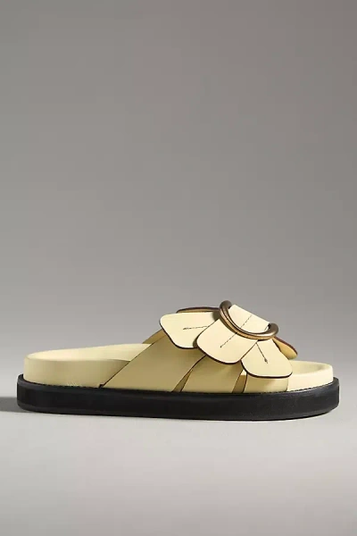 FARM RIO DAISY SLIDE SANDALS