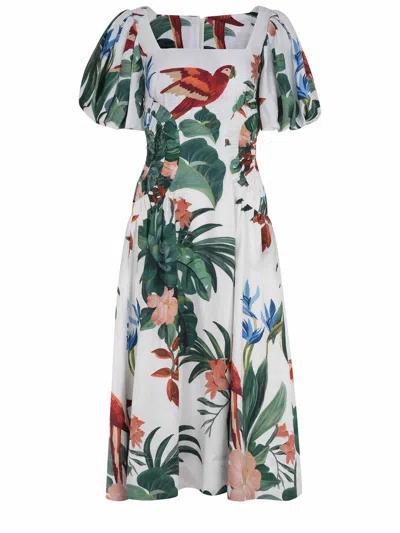 FARM RIO FARM RIO DRESS