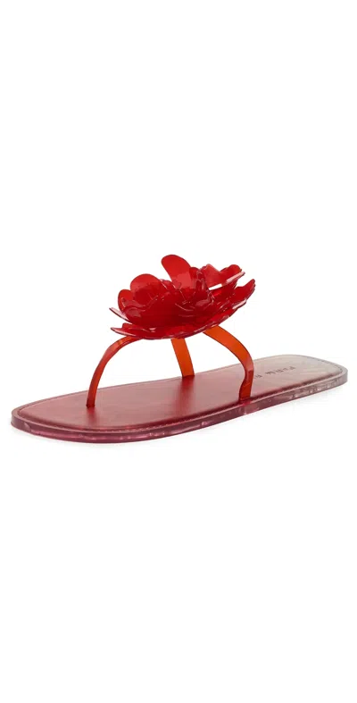 Farm Rio Exclusive Flower Jelly Flat Sandals Red