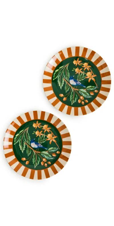 Farm Rio Floral Bird Dinner Plates Set Of 2 Multi