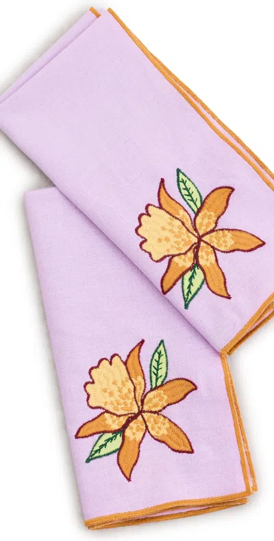 Farm Rio Floral Nature Napkins Set Multi