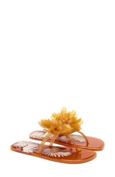 Farm Rio Flower Jelly Flip Flop In Brown