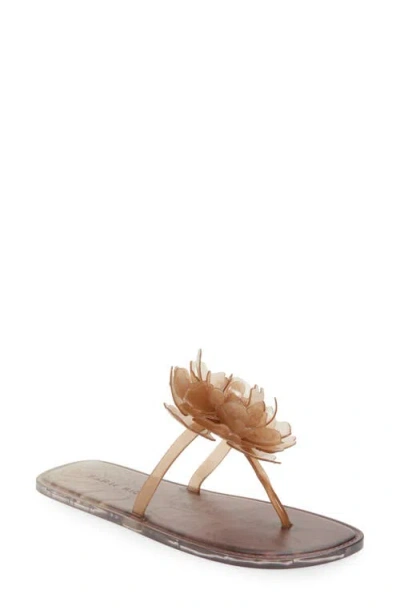 Farm Rio Flower Jelly Flip Flop In Brown