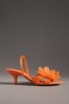 Farm Rio Flower Jelly Kitten Heels