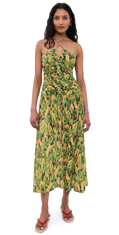 Farm Rio Forrest Green Parrot Sleeveless Maxi Dress Parrots Forest Green