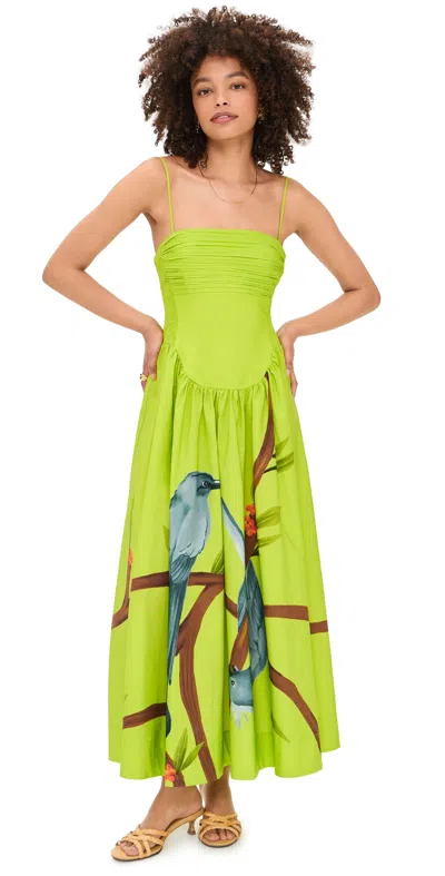 Farm Rio Green Maxi Dress Green