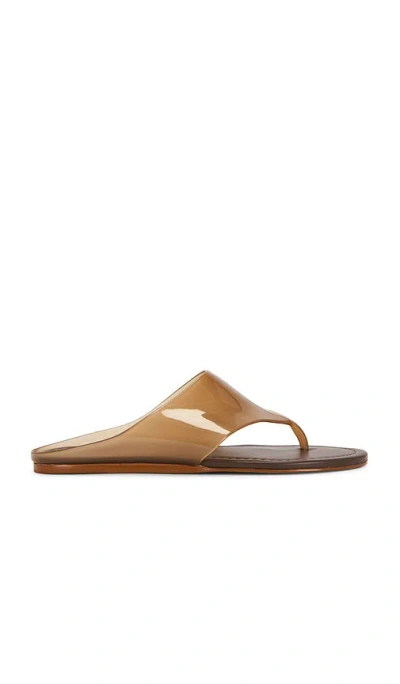 Farm Rio Jelly Thong Flat Sandal In Brown
