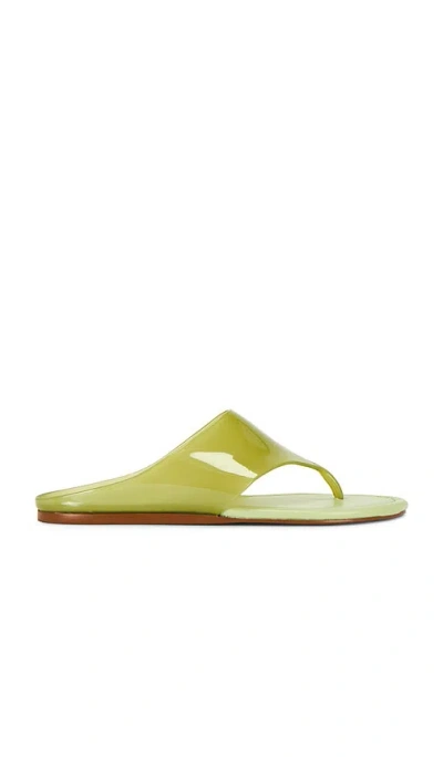Farm Rio Jelly Thong Flat Sandal In Green