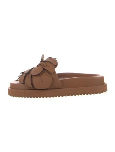 Pre-owned Farm Rio Leather Floral Print Slides In Brown