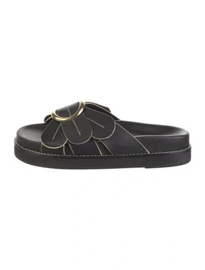 Pre-owned Farm Rio Leather Slides W/ Tags In Black