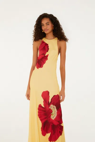 Farm Rio Poppy Flowers Maxi Dress Poppy Flowers Light Yellow In Neutral