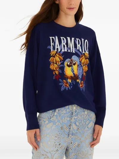 Farm Rio Love Birds Logo-embroidered Intarsia-knit Sweater In Blue