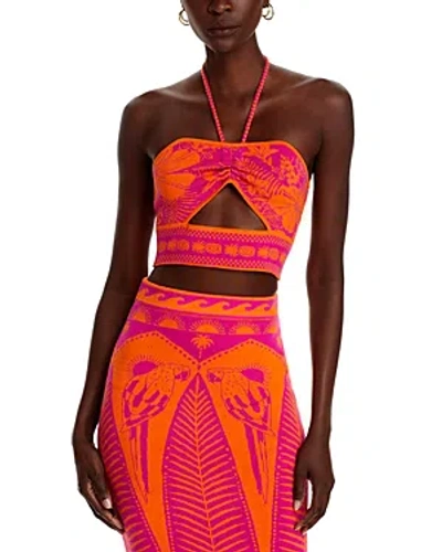 Farm Rio Macaw Elegance Knit Halter Top In Pink | ModeSens