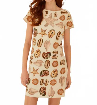 Farm Rio Marine Shells Short Sleeve Mini Dress In Sand In Neutral