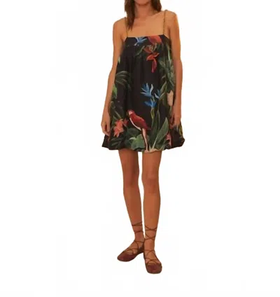 Farm Rio Midnight Macaw Fiesta Sleeveless Mini Dress In Black In Animal Print