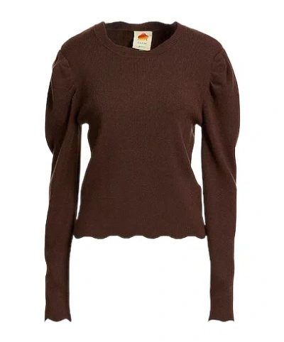 Farm Rio Minimal Knit Sweater In Brown