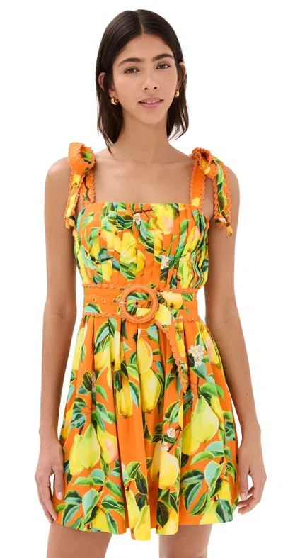 Farm Rio Orange Chic Pears Mini Dress Chic Pears Orange