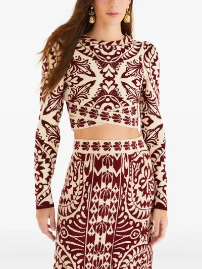 Farm Rio Cardigan Sweater In Burgundy