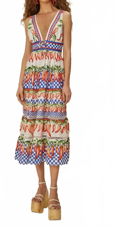 Farm Rio Picnic Dress In Blue