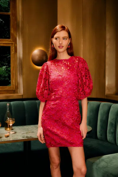 Farm Rio Pink Flowered Lace Puff Sleeve Lined Mini Dress