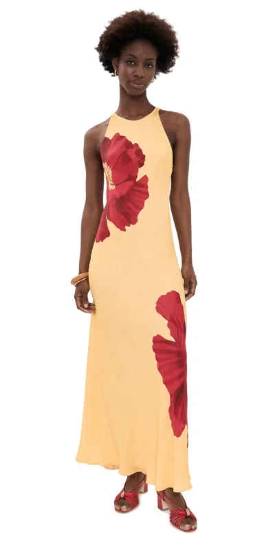 Farm Rio Poppy Flowers Maxi Dress Poppy Flowers Light Yellow In Neutral