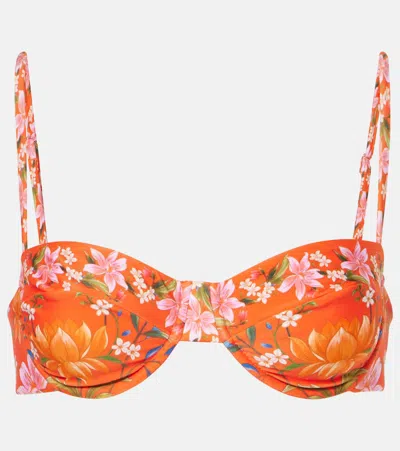 Farm Rio Printed Bikini Top In Multicoloured