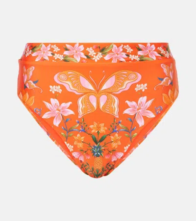 Farm Rio Printed High-rise Bikini Bottoms In Multicoloured