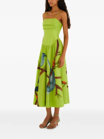 Farm Rio Printed Strap Dress In Green