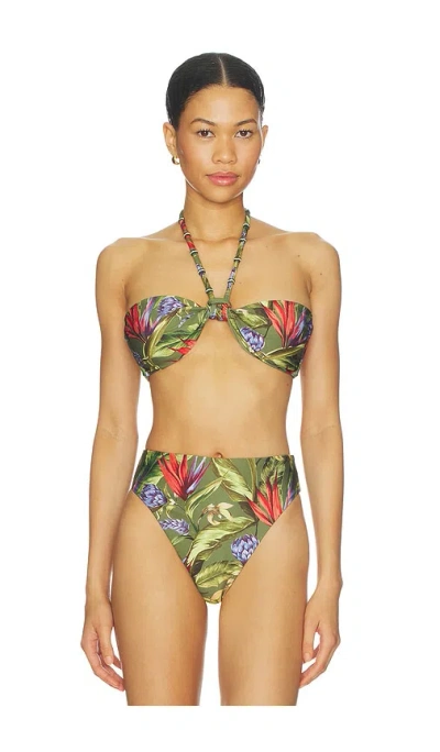 Farm Rio Push Up Bikini Top In Green