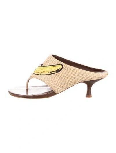Pre-owned Farm Rio Raffia Graphic Print Sandals In Multicolor