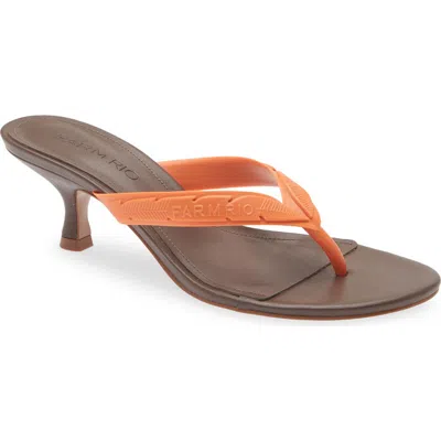Farm Rio Rob Kitten Heel Sandal In Multi