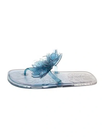 Pre-owned Farm Rio Rubber Floral Print Flip Flops In Blue