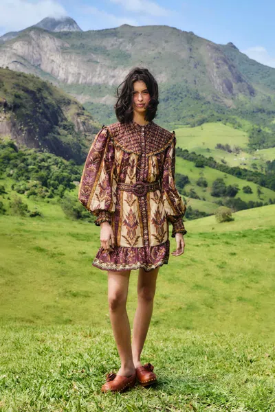Farm Rio Sand Embroidered Tapestry Long Sleeve Mini Dress In Multi
