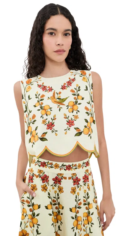 Farm Rio Scalloped Blouse Lemon Bouquet Off-white In Gray