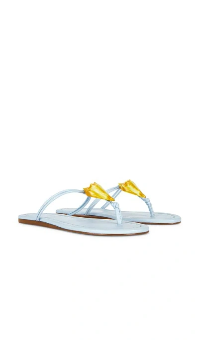 Farm Rio Shell Flat Sandal In Blue