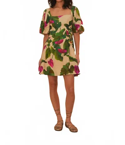 Farm Rio Short Sleeve Square Neckline Dress In Anthurium Leaves & Sand In Multi