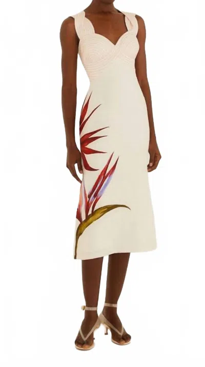 Farm Rio Sleeveless Midi Dress In Strelitzia Sand In Neutral