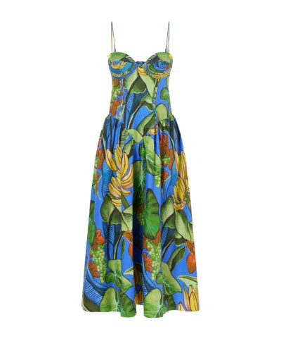 Farm Rio Blue Banana Grapes 3d Bodice Sleeveless Maxi Dress In Multi